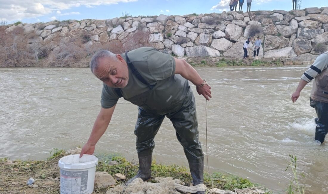 Denizli'nin Çivril ilçesinde yaklaşık on yıldır kuraklık nedeniyle sessizliğe bürünen