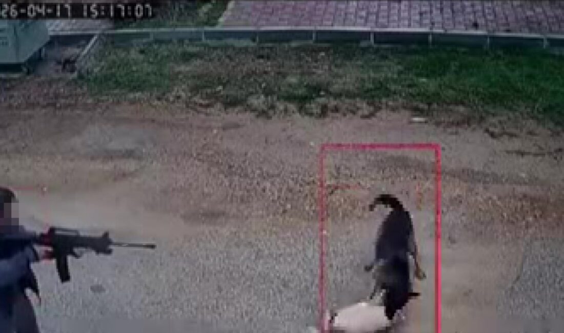 Antalya’nın Kepez ilçesinde dehşet dolu anlar yaşandı. Sokakta kavga eden