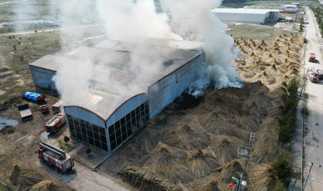 Afyonkarahisar’da Eber Gölü’nden toplanan kamışların işlendiği bir fabrikada çıkan yangın,