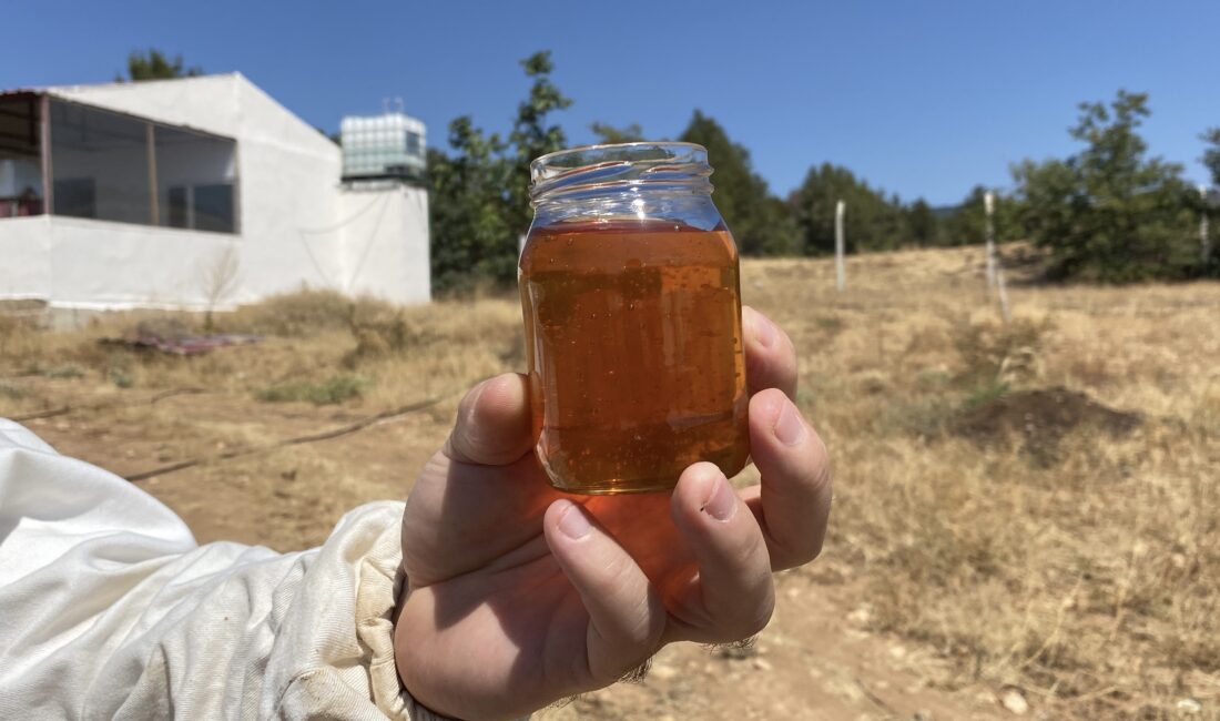 Eskişehir’de üretilen ve rekor prolin değeriyle dikkat çeken yerel bal,