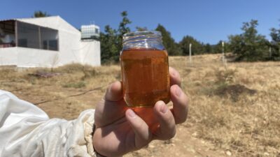 Eskişehir’de üretilen ve rekor prolin değeriyle dikkat çeken yerel bal,