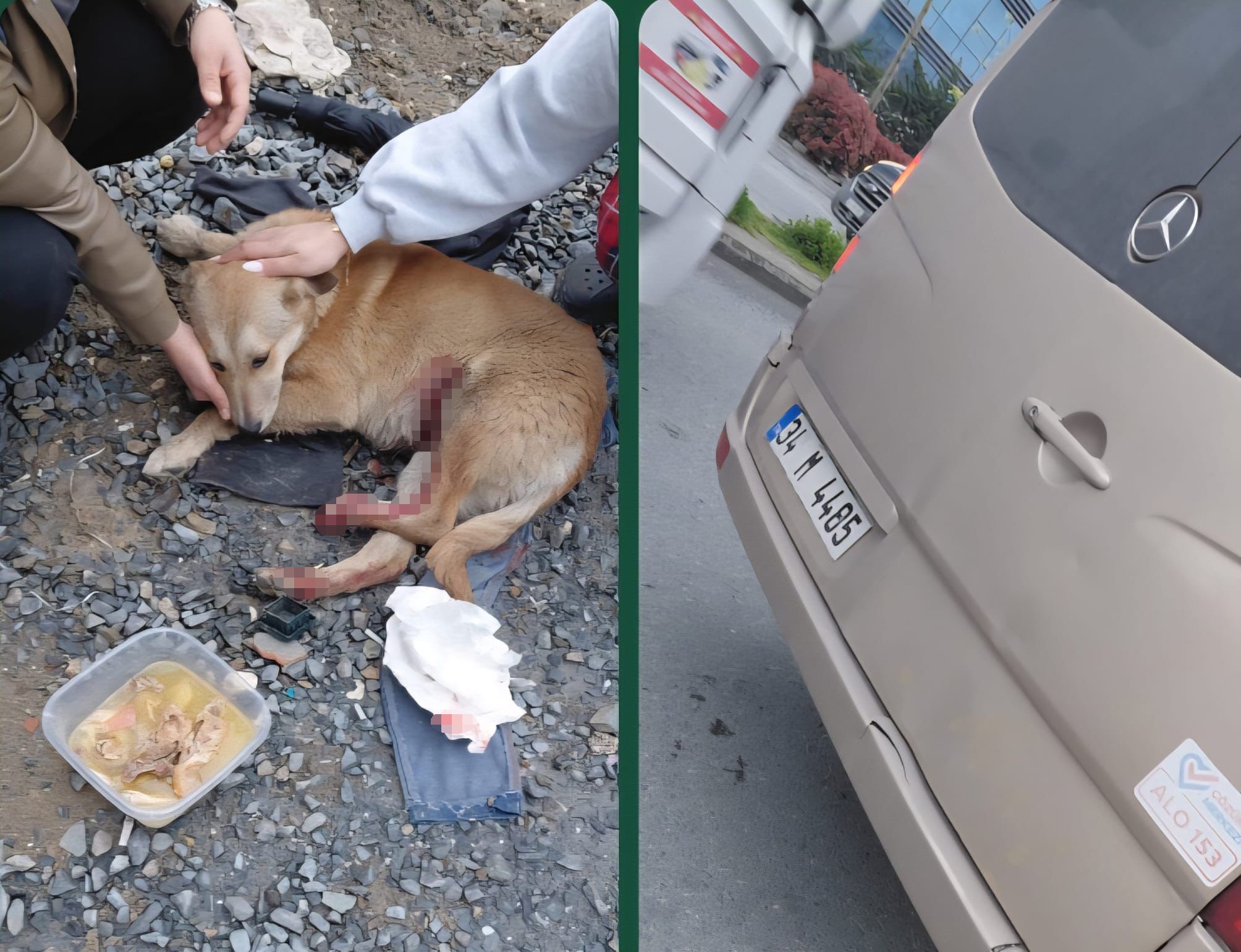 İstanbul Esenyurt’ta, bir köpeğe araç çarptığı iddiasıyla başlayan tartışma, sokak