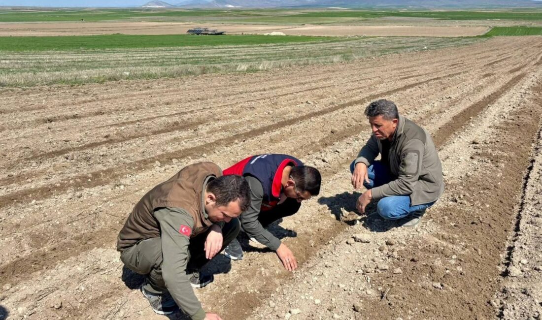 Afyonkarahisar Tarım ve Orman Müdürlüğü, kent genelinde atıl durumda bekleyen