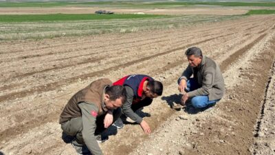 Afyonkarahisar Tarım ve Orman Müdürlüğü, kent genelinde atıl durumda bekleyen