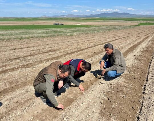Afyonkarahisar Tarım ve Orman Müdürlüğü, kent genelinde atıl durumda bekleyen