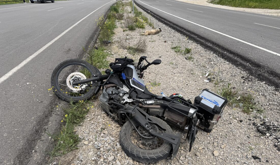 Osmaniye’nin Bahçe ilçesinde meydana gelen trafik kazasında, yola aniden çıkan