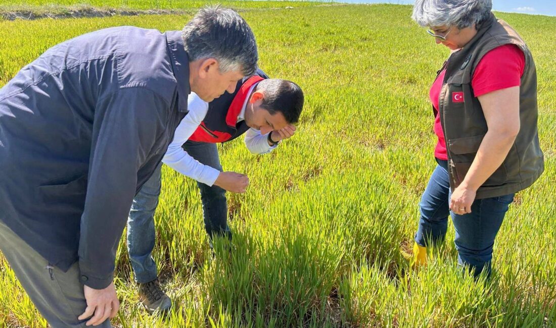 Afyonkarahisar’da tarla ekim sezonunun açılmasıyla birlikte, tarımsal üretimin en büyük