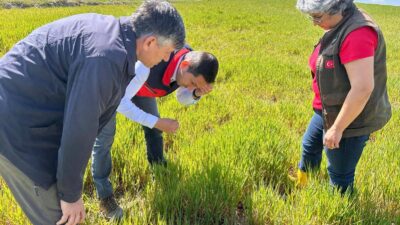Afyonkarahisar’da tarla ekim sezonunun açılmasıyla birlikte, tarımsal üretimin en büyük