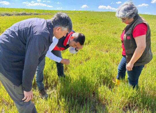 Afyonkarahisar’da tarla ekim sezonunun açılmasıyla birlikte, tarımsal üretimin en büyük