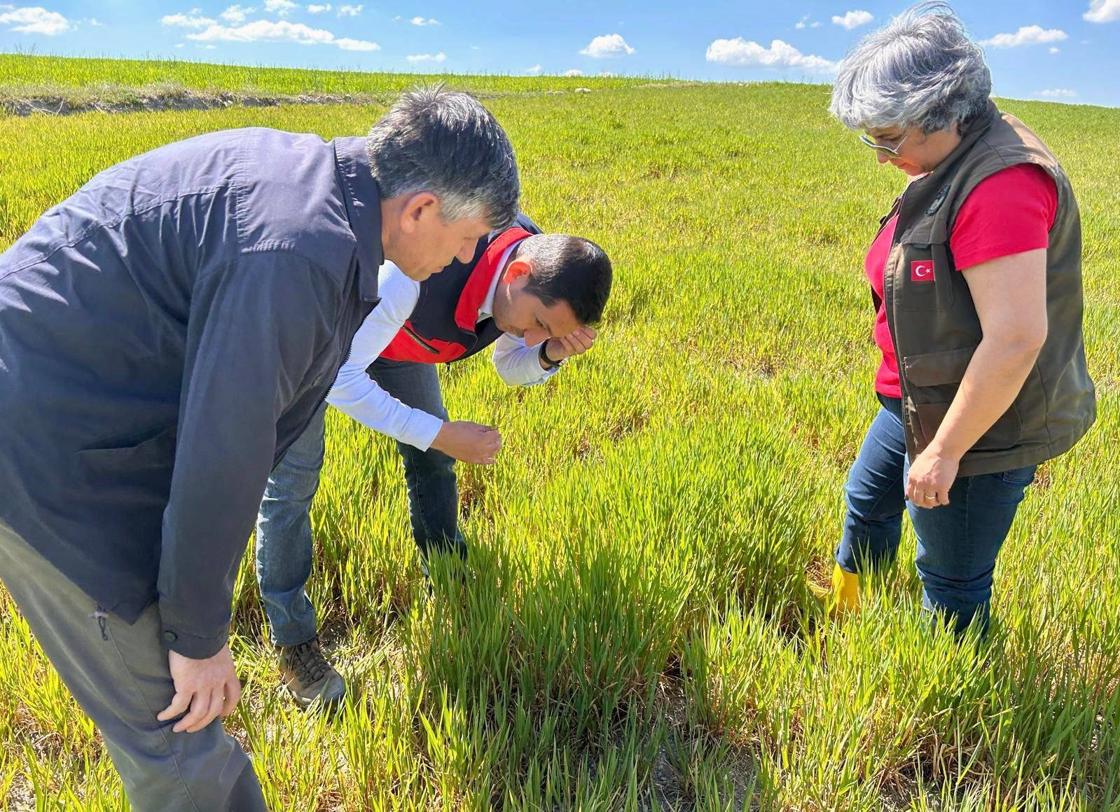Afyonkarahisar’da tarla ekim sezonunun açılmasıyla birlikte, tarımsal üretimin en büyük