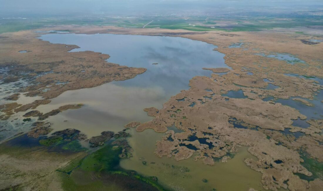 Afyonkarahisar'ın doğa harikası Eber Gölü, son dönemdeki yağışlarla birlikte adeta