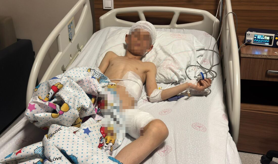 Van'ın Saray ilçesine bağlı Kazım Paşa Mahallesi'nde dün öğle saatlerinde