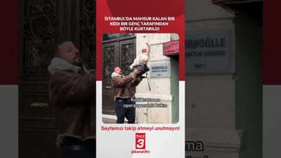 Kanal 3Paz, Nisan 5, 2026 4:00pmURL:Embed:İstanbul’da mahsur kalan bir kedi
