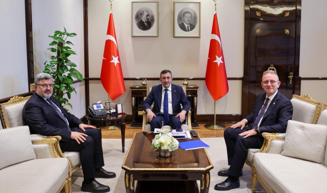 AK Parti Afyonkarahisar Milletvekili Ali Özkaya, AK Parti Kütahya Milletvekili