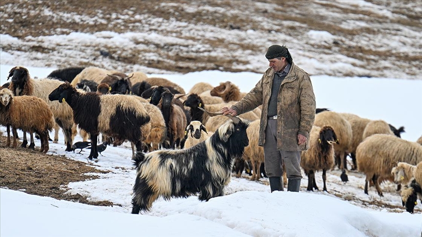 Son yılların en çetin kış mevsiminin yaşandığı Van'da, yüksek rakımlı