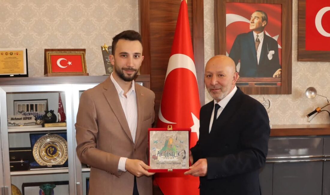 AK Parti Afyonkarahisar İl Gençlik Kolları Başkanı Mehmet Emin İntepe,