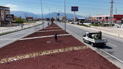 Bolvadin Belediyesi ekipleri, yaz sezonu öncesi ilçe genelinde yabancı otla
