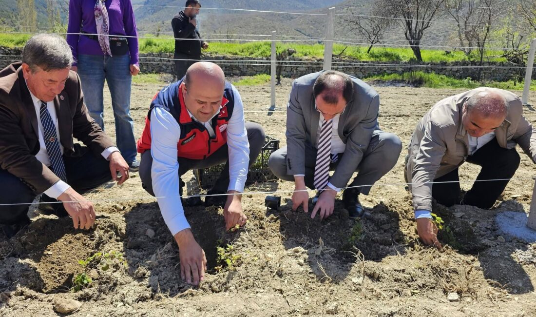 Afyonkarahisar’ın Çay ilçesinde İl Özel İdaresi’nin katkılarıyla ve İlçe Tarım