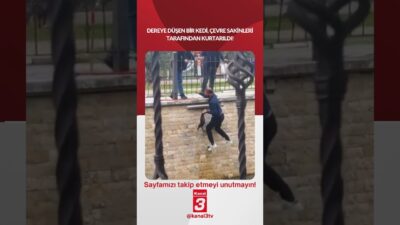 Kanal 3Paz, Nisan 26, 2026 10:00amURL:Embed:Dereye düşen bir kedi, çevre