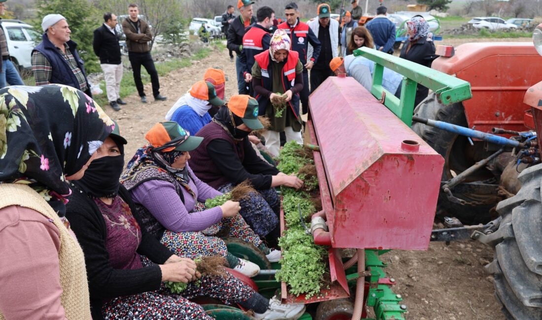 Afyonkarahisar Dinar İlçe Tarım ve Orman Müdürlüğü tarafından yüzde 100
