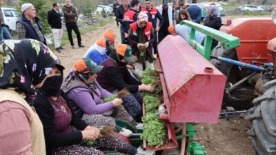 Afyonkarahisar Dinar İlçe Tarım ve Orman Müdürlüğü tarafından yüzde 100