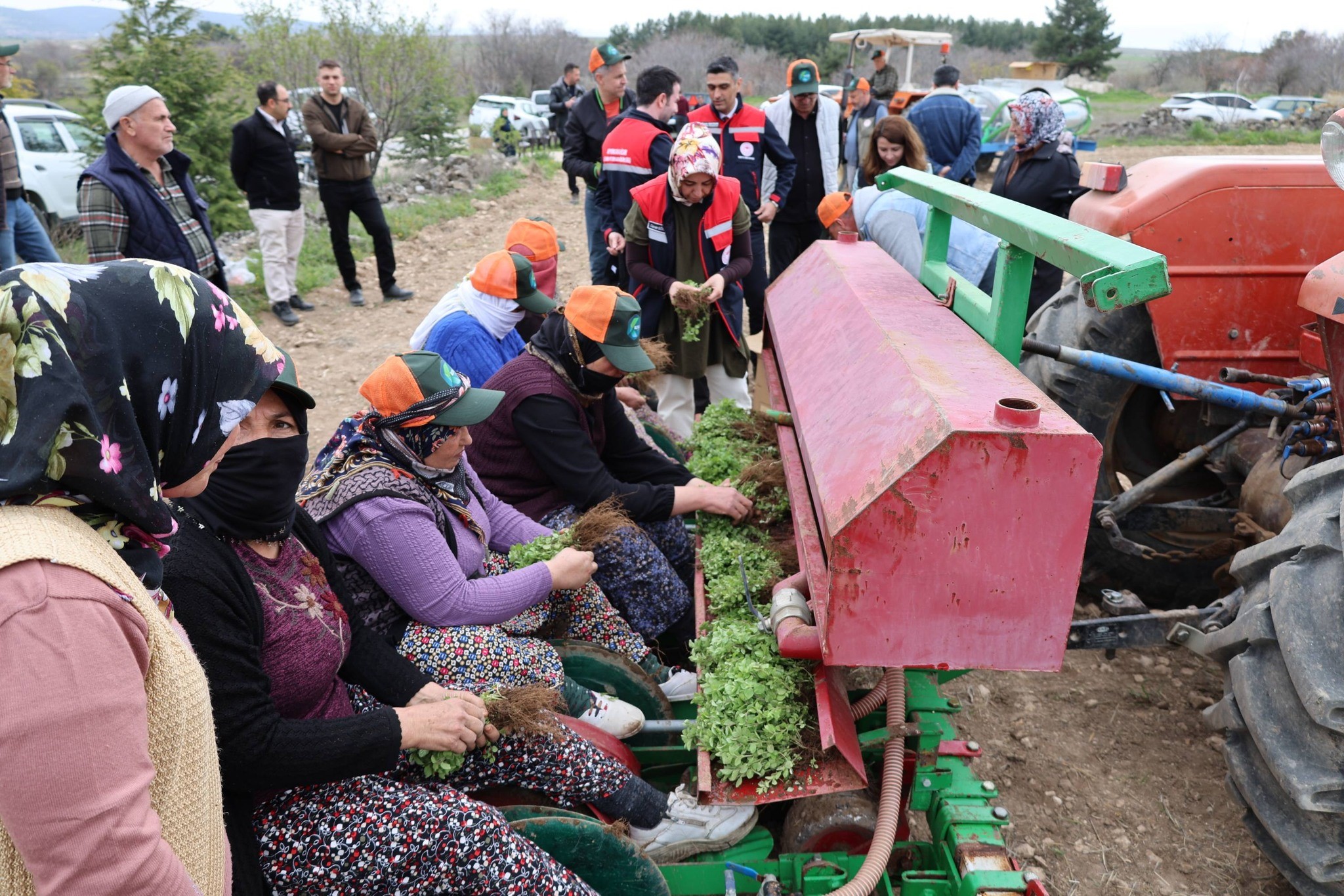 Afyonkarahisar Dinar İlçe Tarım ve Orman Müdürlüğü tarafından yüzde 100