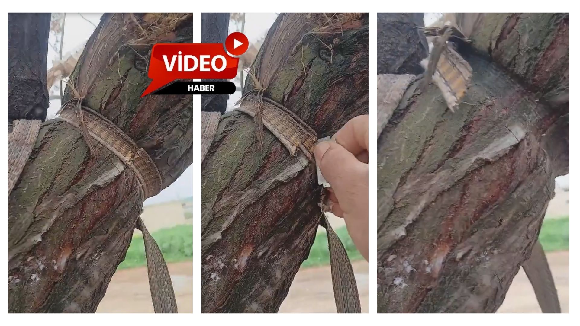 Doğaya duyarlılığın anlamlı bir örneği, küçük bir farkındalıkla hayat buldu.