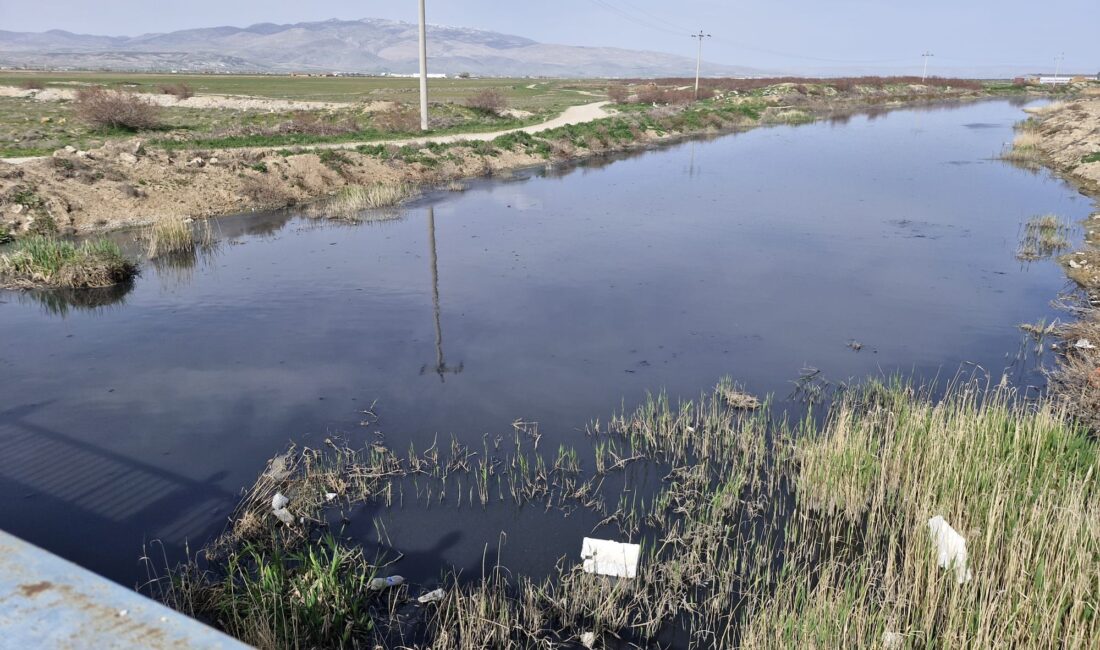 Afyonkarahisar’da çevresel sorunların odağında yer alan Eber Gölü için hazırlanan