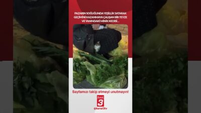 Pazarın soğuğunda yeşillik satarak geçimini kazanmaya çalışan bir teyze ve