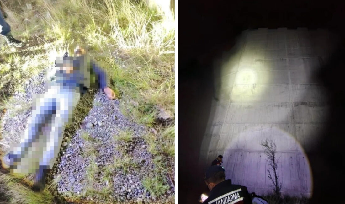 Artvin-Ardanuç karayolunda gece saatlerinde meydana gelen korkunç olayda, bir kişi