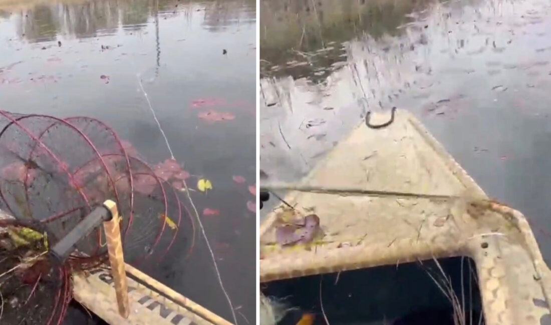 Afyonkarahisar’ın eşsiz doğasıyla büyüleyen ve "Nilüfer Cenneti" olarak anılan Karakuyu