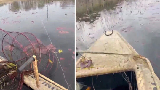 Afyonkarahisar’ın eşsiz doğasıyla büyüleyen ve "Nilüfer Cenneti" olarak anılan Karakuyu