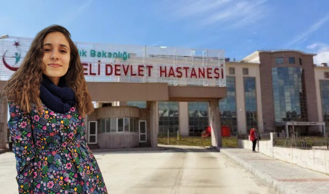 Diyarbakır’ın Sur ilçesinde, yıllardır özenle baktığı atının saldırısına uğrayan bir