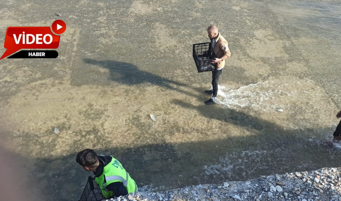 Afyonkarahisar’ın Sandıklı ilçesine bağlı Akharım beldesinde, son yağışlarla birlikte su