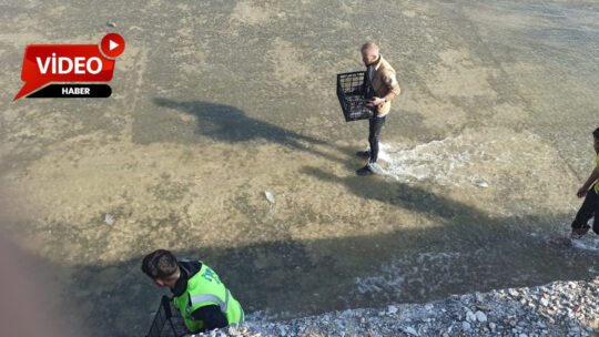 Afyonkarahisar’ın Sandıklı ilçesine bağlı Akharım beldesinde, son yağışlarla birlikte su