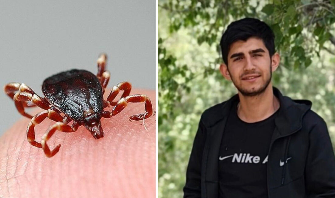 Bahar aylarının gelmesiyle birlikte kene vakaları yeniden can yakmaya başladı.