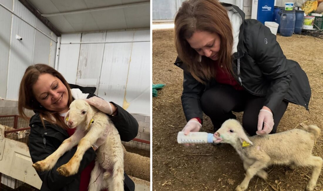 Afyonkarahisar Belediye Başkanı Burcu Köksal sosyal medya hesabından paylaşım yaptı.