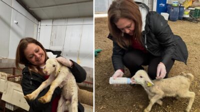 Afyonkarahisar Belediye Başkanı Burcu Köksal sosyal medya hesabından paylaşım yaptı.