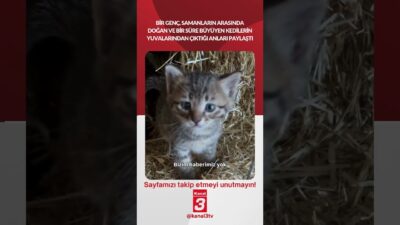 Kanal 3Paz, Nisan 26, 2026 4:00pmURL:Embed:📶https://kanal3.com.tr/ Sosyal Medya Hesaplarımızı Takip