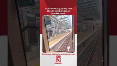 İngiltere’de metro seferi sırasında raylarda bir kuğu görülmesi üzerine vatmanın