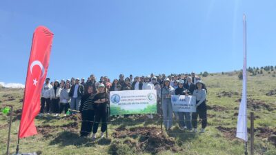 Afyon Kocatepe Üniversitesi (AKÜ) Sandıklı Meslek Yüksekokulu (MYO), Sandıklı Orman