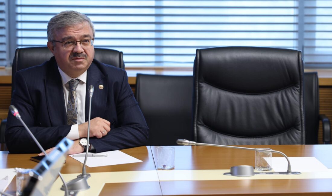 Türkiye Büyük Millet Meclisi’nde (TBMM) Sosyal Hizmetler Kanunu kapsamında doğum