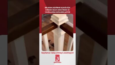 Bir adam, kestirme olduğu için evinden geçen anne ördek ve