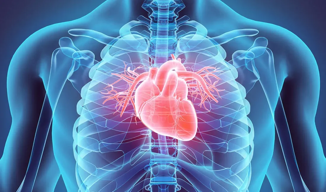 Afyonkarahisar İl Sağlık Müdürlüğü, 12–18 Nisan 2026 Kalp Sağlığı Haftası