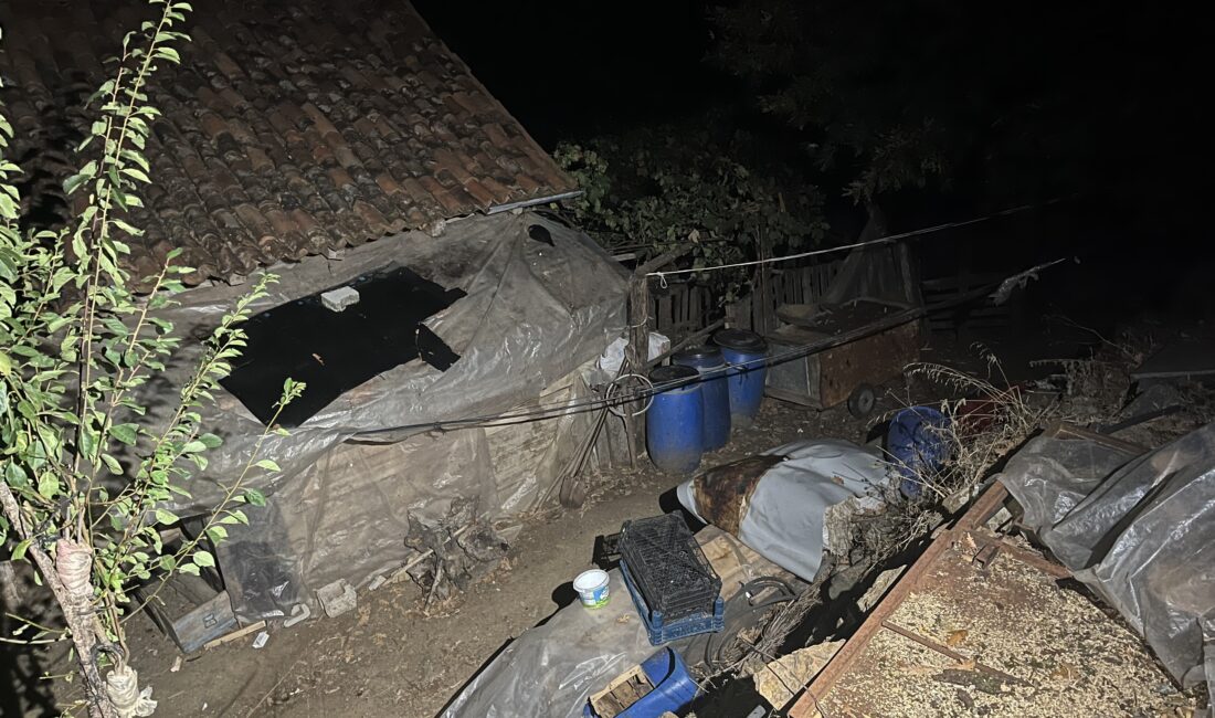 Türkiye son dönemde ardı ardına gelen çocukların işlediği vahşet haberleriyle