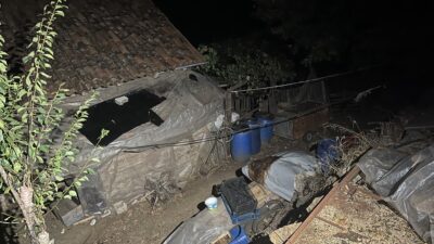 Türkiye son dönemde ardı ardına gelen çocukların işlediği vahşet haberleriyle