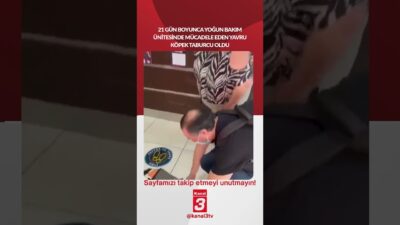 21 gün boyunca yoğun bakım ünitesinde mücadele eden yavru köpek