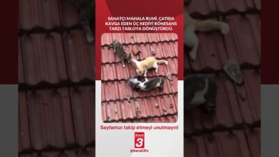 📶https://kanal3.com.tr/ Sosyal Medya Hesaplarımızı Takip Ederek Son Dakika Haberleri Alabilirsiniz;