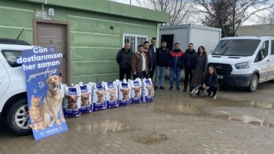 Elektrik dağıtım şirketi OEDAŞ, 4 Nisan Dünya Sokak Hayvanları Günü