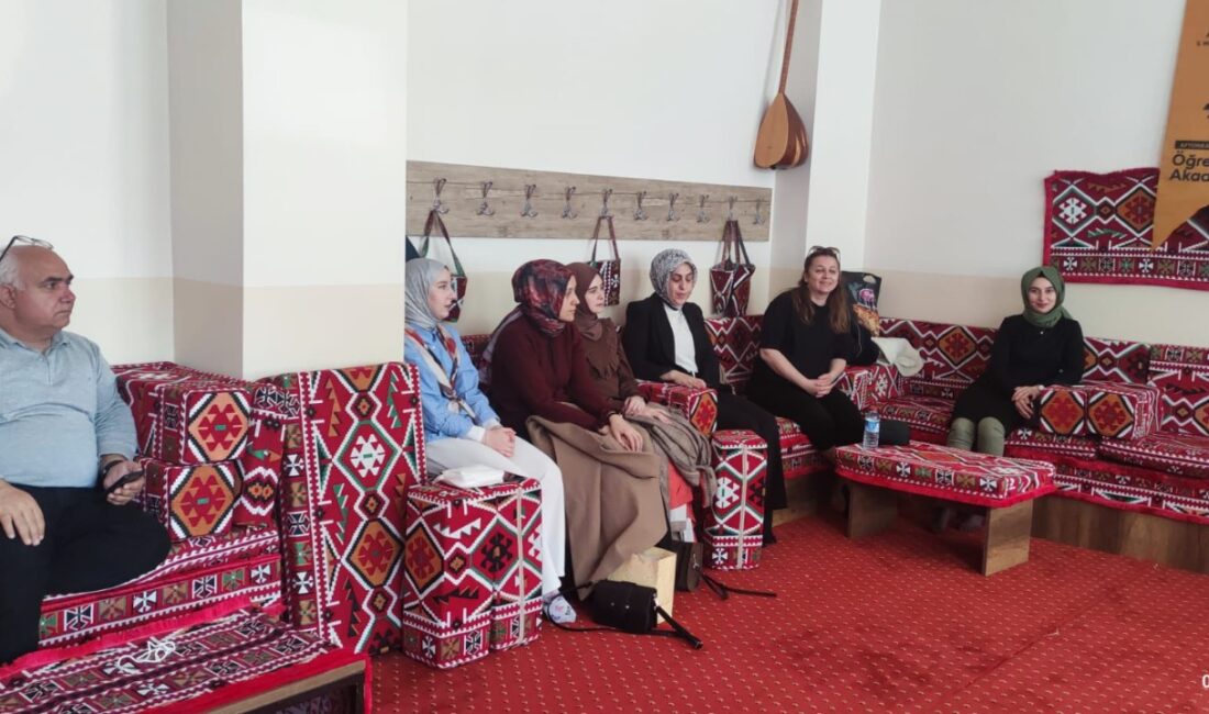 Afyonkarahisar İl Milli Eğitim Müdürlüğü tarafından düzenlenen Öğretmen Akademileri Biyografi